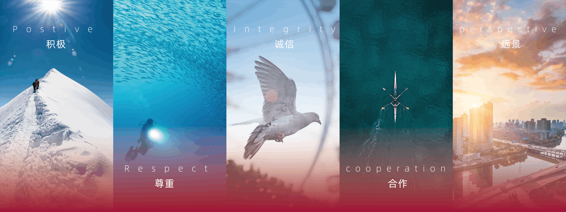 積極，尊重，誠(chéng)信，合作，遠(yuǎn)景