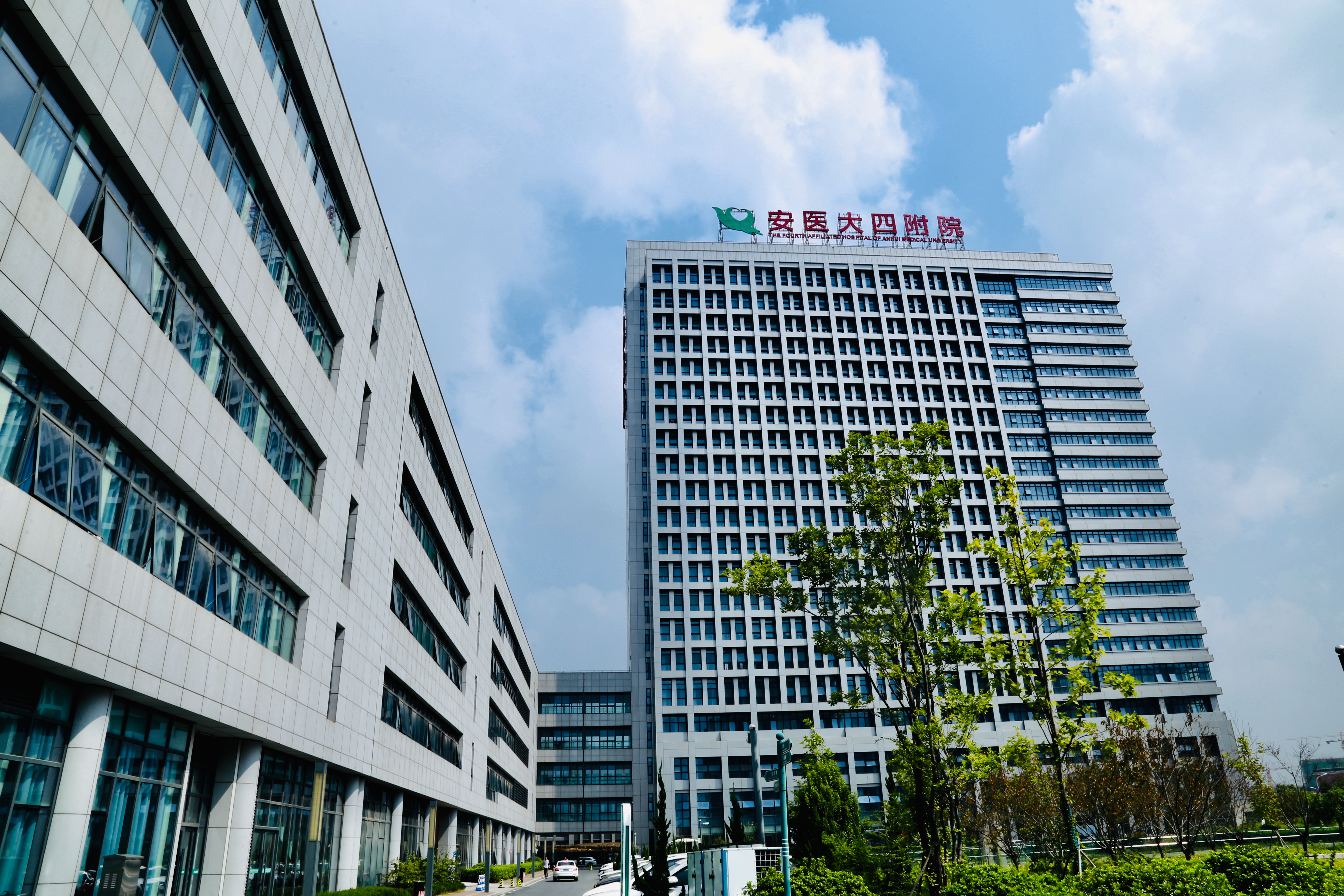 F . 安徽醫(yī)科大學第四附屬醫(yī)院-1